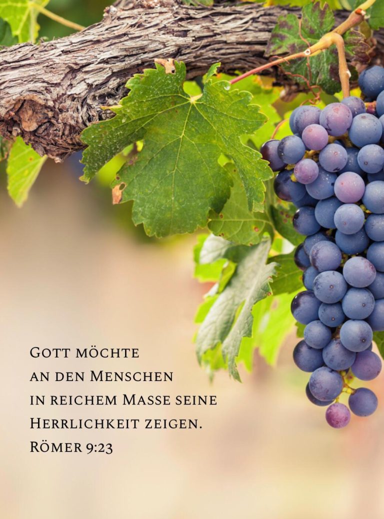 Bibelspruch