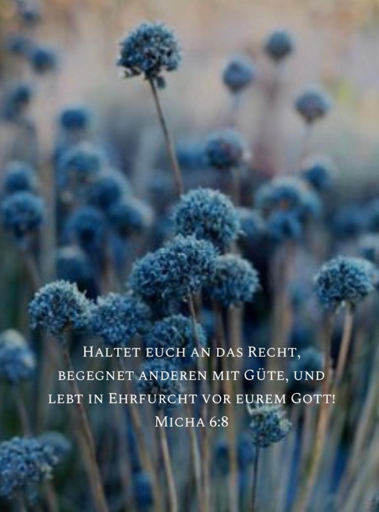 Bibelspruch